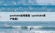 youtube加观看量（youtube用户数量）