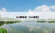 Ins刷粉丝（ins吸粉）