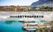 tiktok自助下单网站的简单介绍