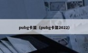 pubg卡盟（pubg卡盟2022）