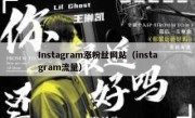 Instagram涨粉丝网站（instagram流量）