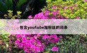 包含youtube加粉丝的词条