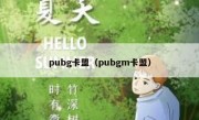 pubg卡盟（pubgm卡盟）