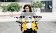 csgo辅助（csgo辅助群）