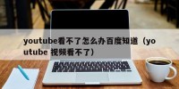 youtube看不了怎么办百度知道（youtube 视频看不了）