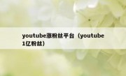 youtube涨粉丝平台（youtube1亿粉丝）