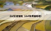 dnf王者辅助（dnf免费辅助吧）