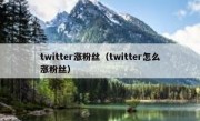 twitter涨粉丝（twitter怎么涨粉丝）