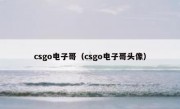 csgo电子哥（csgo电子哥头像）