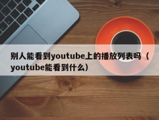 别人能看到youtube上的播放列表吗（youtube能看到什么）