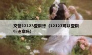 交管12123查限行（12123可以查限行违章吗）