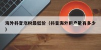 海外抖音涨粉最低价（抖音海外用户量有多少）