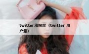 twitter涨粉丝（twitter 用户量）