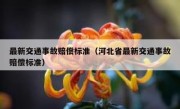 最新交通事故赔偿标准（河北省最新交通事故赔偿标准）