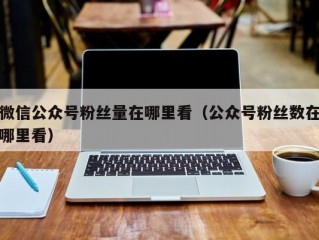 微信公众号粉丝量在哪里看（公众号粉丝数在哪里看）