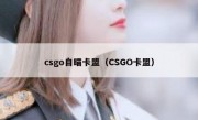 csgo自瞄卡盟（CSGO卡盟）