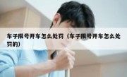 车子限号开车怎么处罚（车子限号开车怎么处罚的）