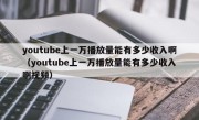 youtube上一万播放量能有多少收入啊（youtube上一万播放量能有多少收入啊视频）