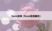 fxcm官网（fxcm官网图片）