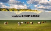 youtube买粉丝的简单介绍