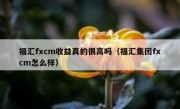 福汇fxcm收益真的很高吗（福汇集团fxcm怎么样）