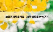 油管买播放量网站（油管播放量1000万）