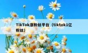 TikTok涨粉丝平台（tiktok1亿粉丝）