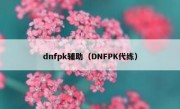 dnfpk辅助（DNFPK代练）