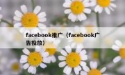 facebook推广（facebook广告投放）