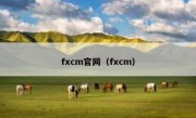 fxcm官网（fxcm）