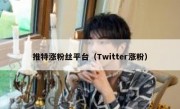 推特涨粉丝平台（Twitter涨粉）