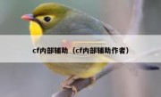 cf内部辅助（cf内部辅助作者）