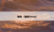 辅助（辅助fmvp）