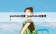 youtube流量（youtube流量费）