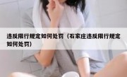 违反限行规定如何处罚（石家庄违反限行规定如何处罚）