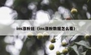 ins涨粉丝（ins涨粉数据怎么看）