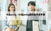 卡盟pubg（卡盟pubg国际服手游苹果）