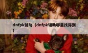 dnfpk辅助（dnfpk辅助哪里找得到）