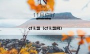 cf卡盟（cf卡盟网）