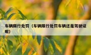 车辆限行处罚（车辆限行处罚车辆还是驾驶证呢）