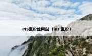 INS涨粉丝网站（ins 涨粉）