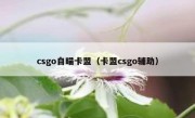 csgo自瞄卡盟（卡盟csgo辅助）