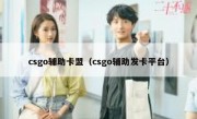 csgo辅助卡盟（csgo辅助发卡平台）