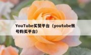 YouTube买赞平台（youtube账号购买平台）