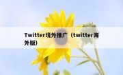 Twitter境外推广（twitter海外版）