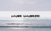 pubg辅助（pubg辅助透视）