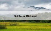 福汇fxcm（福汇app）