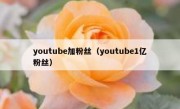 youtube加粉丝（youtube1亿粉丝）