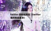 twitter涨粉丝网站（twitter谁的粉丝最多）