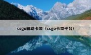 csgo辅助卡盟（csgo卡盟平台）